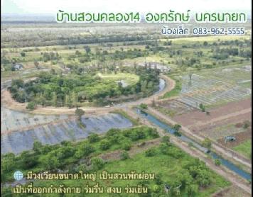 ขายที่ดิน บ้านสวนคลอง14 องครักษ์ นครนายก เนื้อที่ 350 ตร.วา พื้นที่เหมาะปลูกบ้านสวน ร่มรื่น